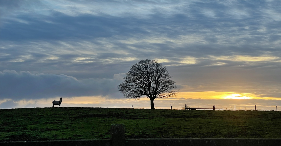 Roundwood Lanscape